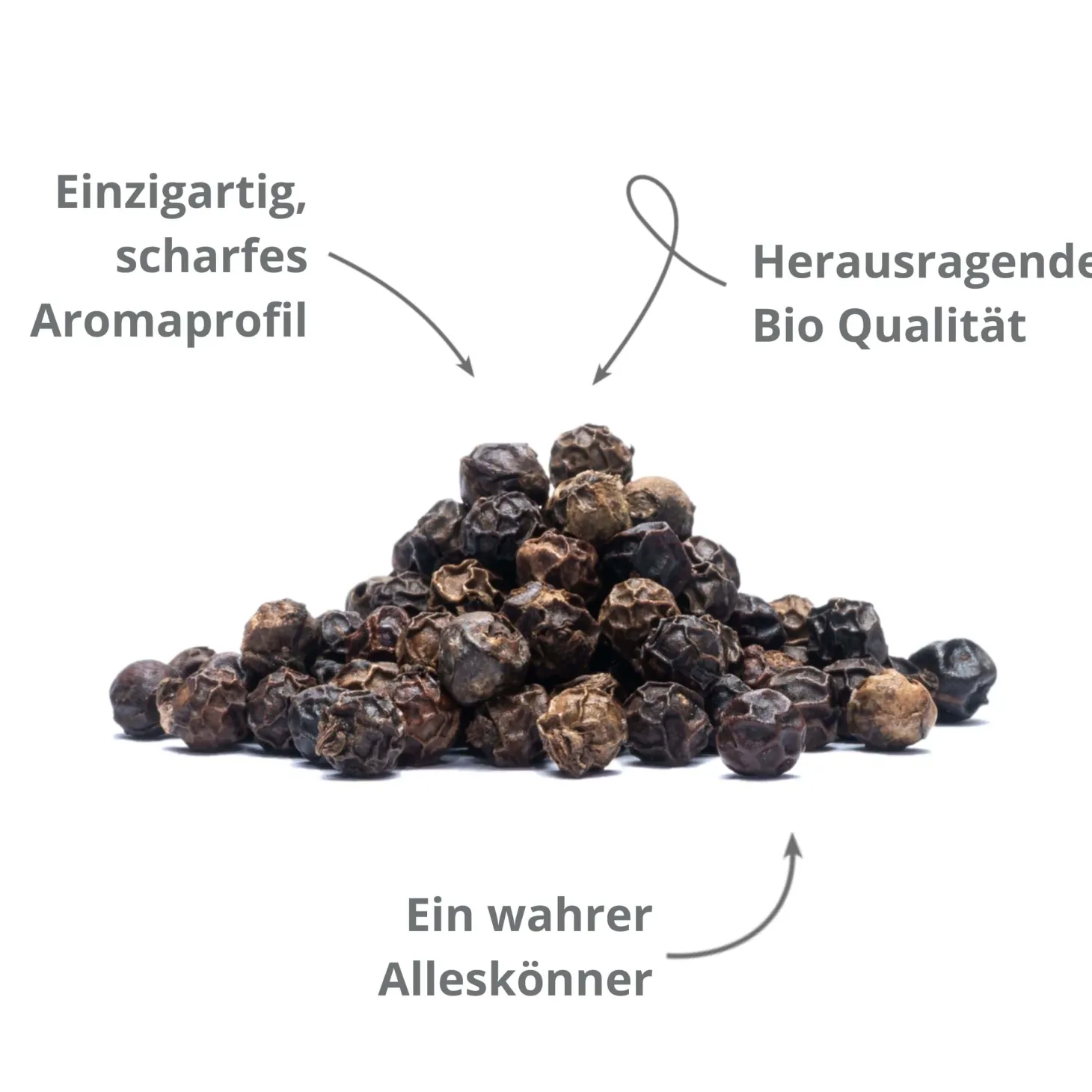 Schwarzer Tellicherry Pfeffer BIO, Garbled Special Extra Bold (TGSEB)